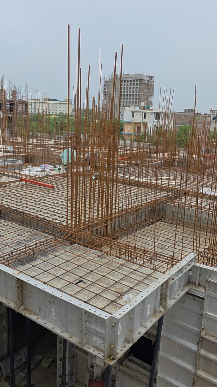 WhatsApp Image 2025-12-24 at 12.58.06 PM